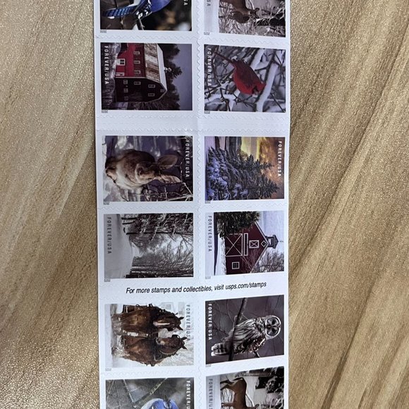 USPS "Winter Scenic Eternal" stamp festival celebration (10 volumes-200 stamps) - Picture 2 of 3